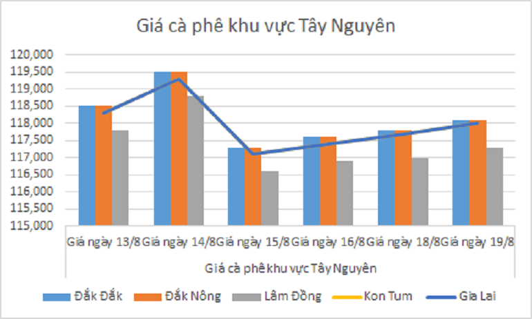 Bieu do gia ca phe ngay 19.8.2024_1724039056.png